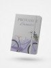 Carnets A5 Algo Stationery - Collection Assortie Designs Variés