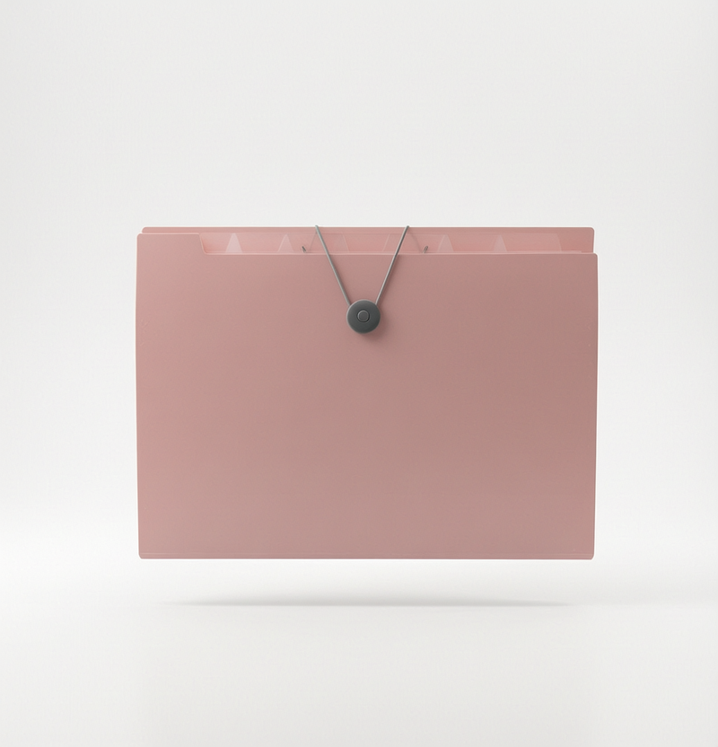 Trieur Valisette Pastel Extensible 