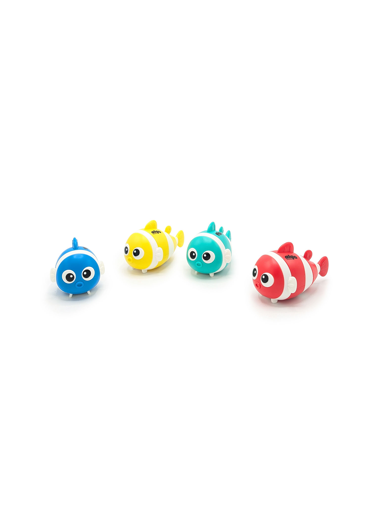 Mibra goma (Fish)