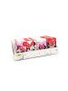 Boîte de protège-cartes scolaires – assortiment